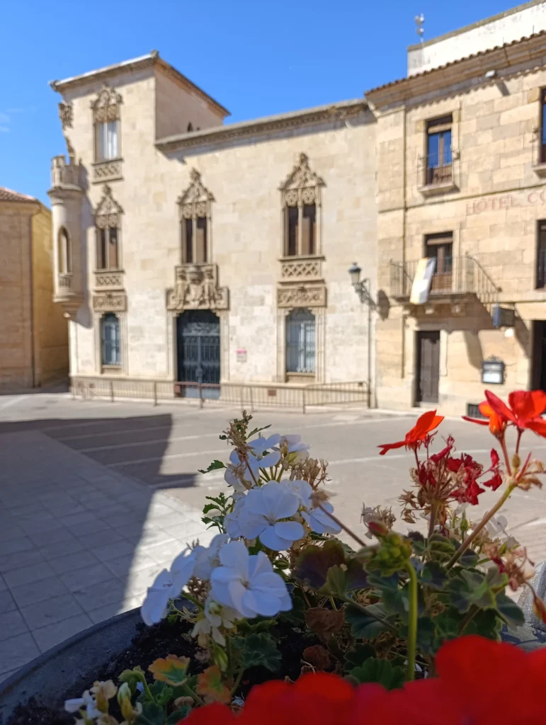 Palace of the Marquesa de Cartago.