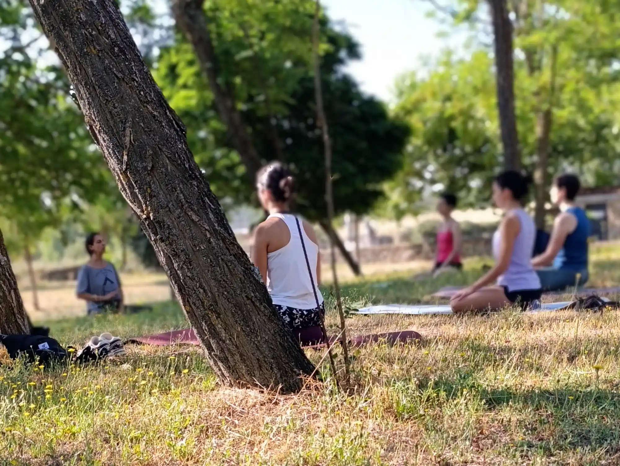clase de yoga al aire libre
