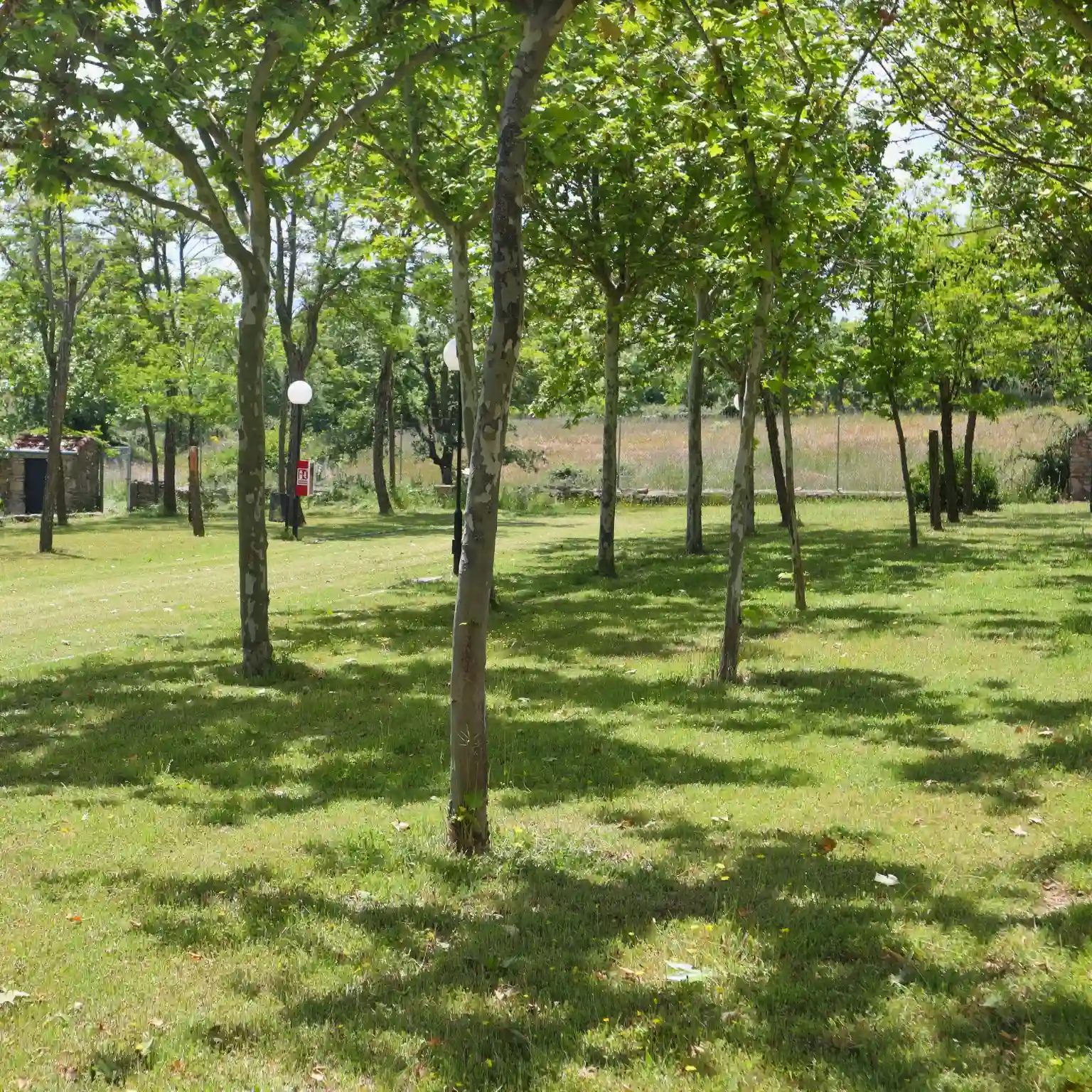 Área de parcelas del camping Arribes del Duero